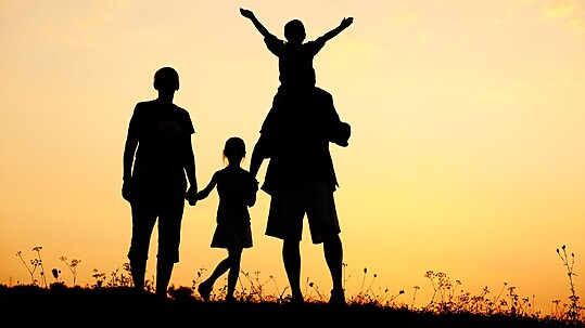 Family Investment Company